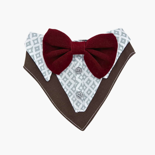 Bandana de Gala para Perros y Gatos Modelo Marrón - Moxy Pet Box