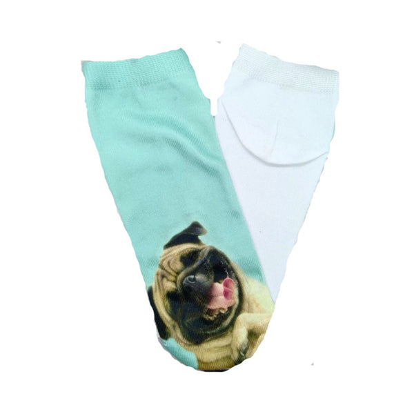 Calcetines Celestes De Pug - Moxy Pet Box