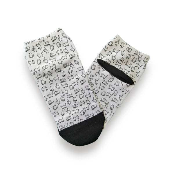 Calcetines De Gato - Moxy Pet Box