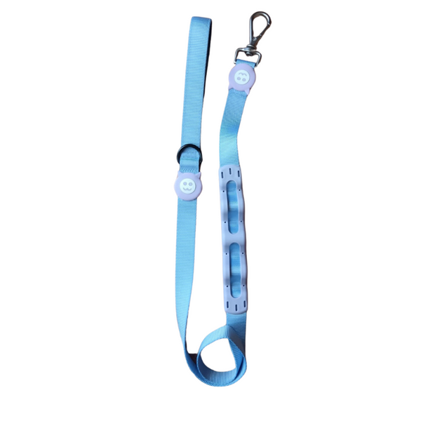 Correa Anti Tirones Morado Para Perros - Moxy Pet Box