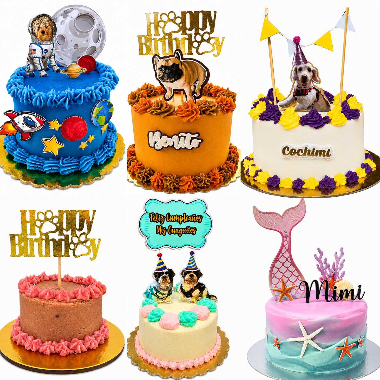 Tortas de Cumpleaños para Mascotas
