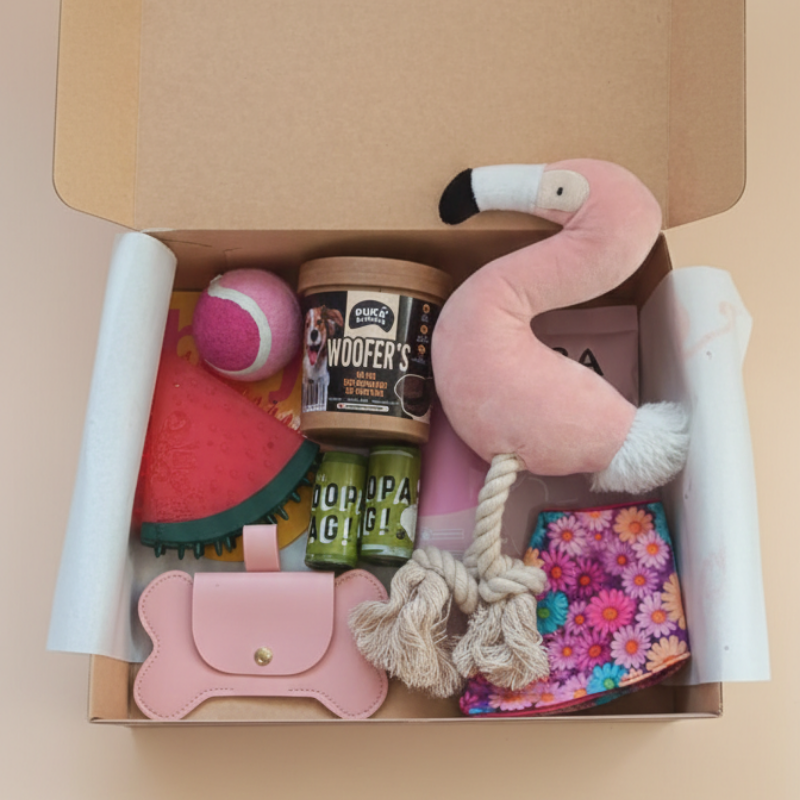 Caja Primaveral Para Mascotas Flamenco