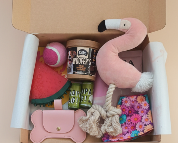 Caja Primaveral Para Mascotas Flamenco