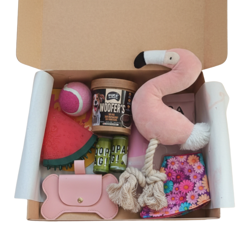 Caja Primaveral Para Mascotas Flamenco