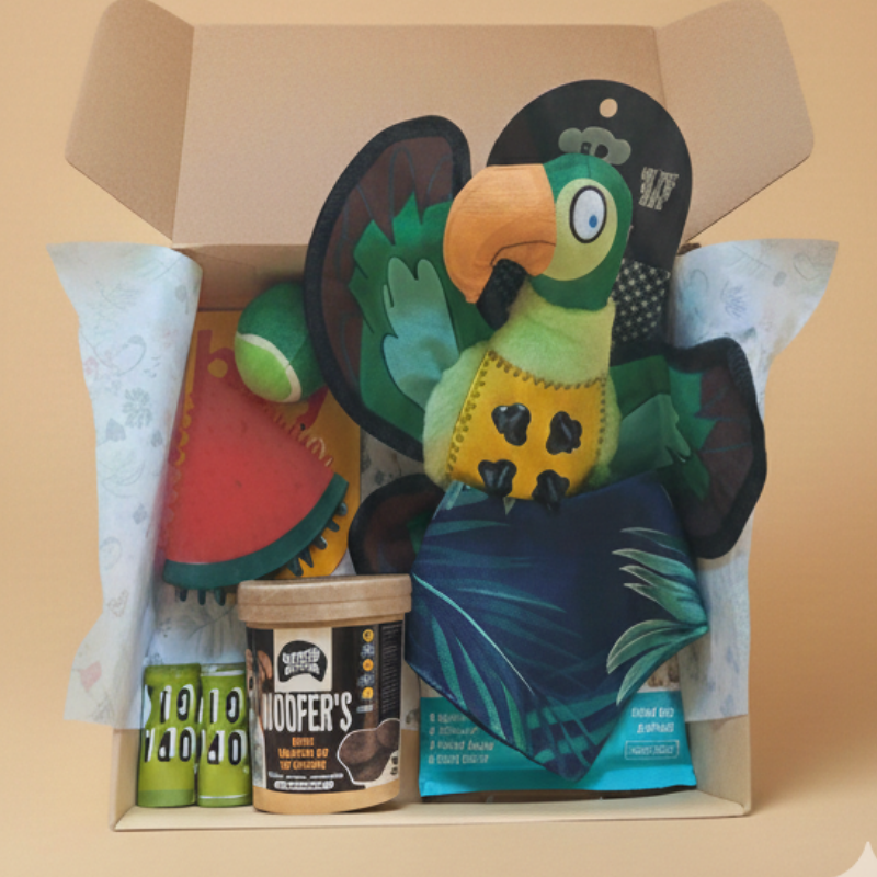 Caja Primaveral Para Mascotas Loro