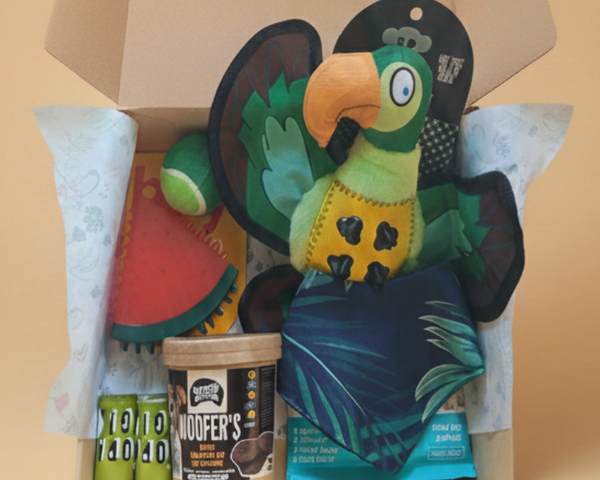 Caja Primaveral Para Mascotas Loro