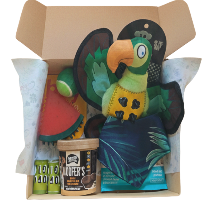 Caja Primaveral Para Mascotas Loro