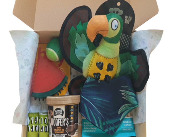 Caja Primaveral Para Mascotas Loro