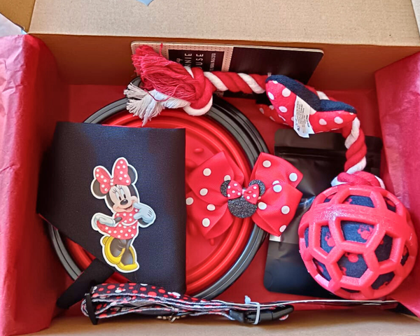 Caja Temática Disney