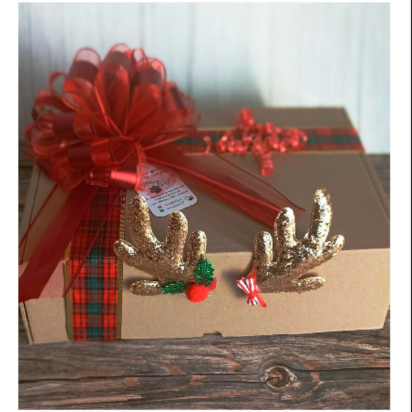 Caja Navideña Para Perro/ Gato - Moxy Pet Box