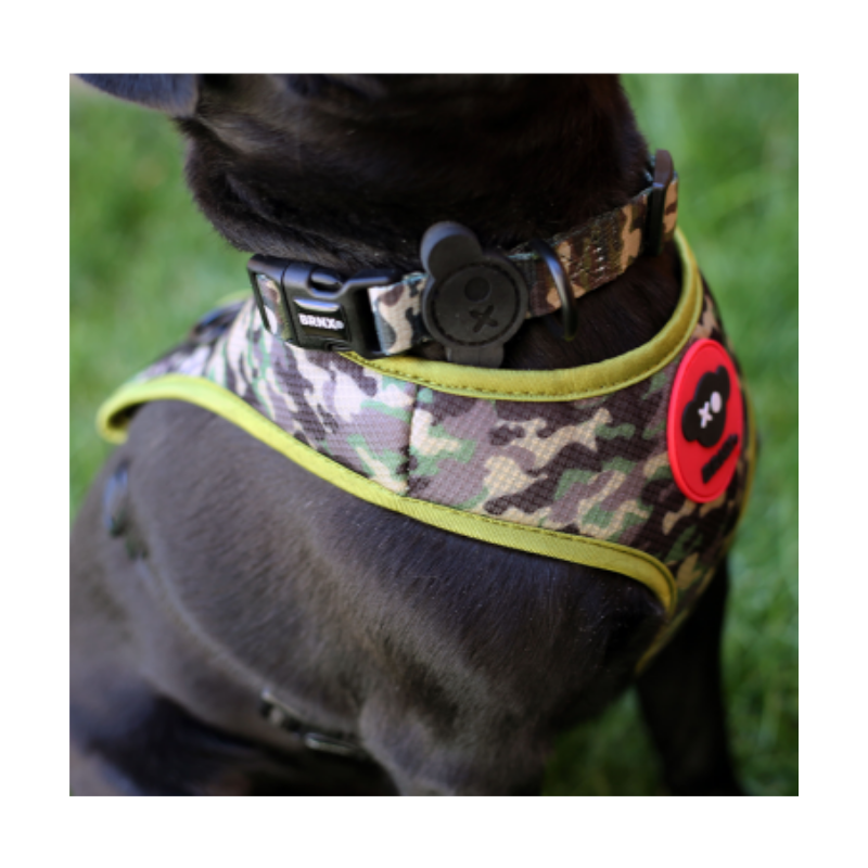 Arnés “H” Camuflaje + Collar – Talla M BRNX