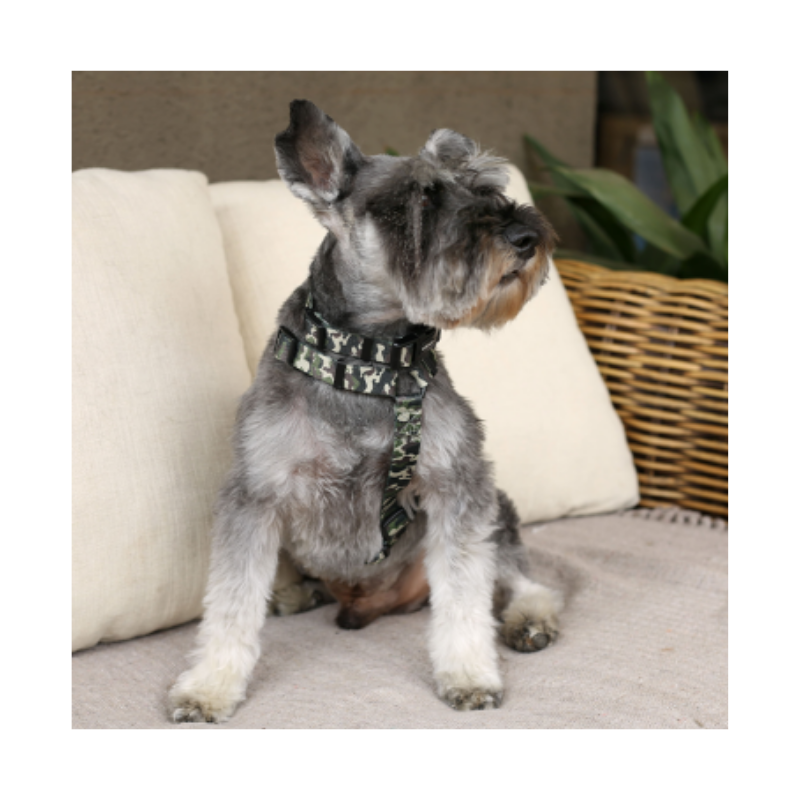 Arnés “H” Camuflaje + Collar – Talla M BRNX
