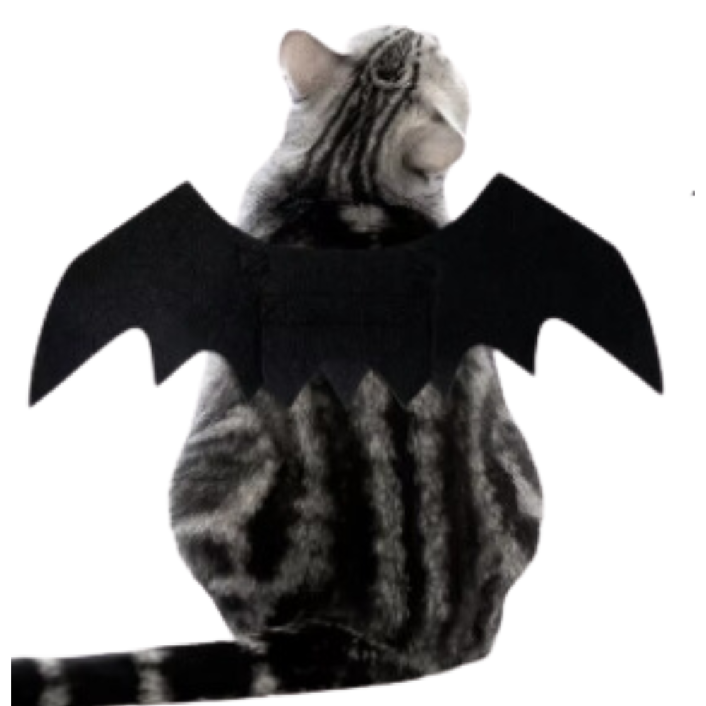 Alas De Murciélago Para Perro Y Gato Para Halloween