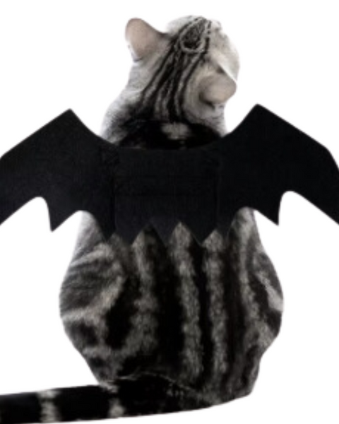Alas De Murciélago Para Perro Y Gato Para Halloween