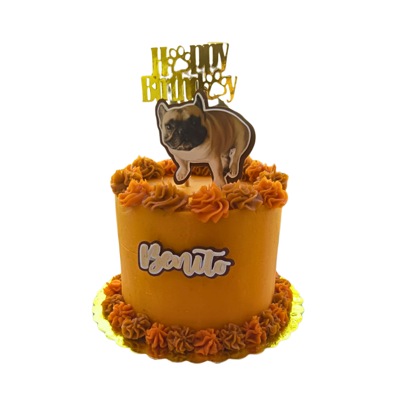 Tortas De Cumpleaños Para Mascotas