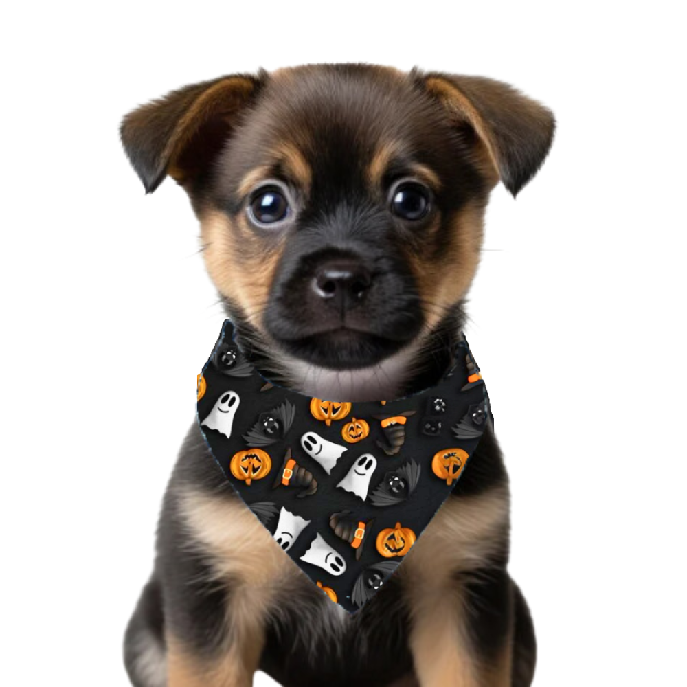 Bandana Negro De Halloween Para Mascotas