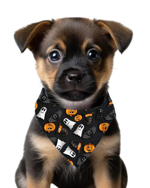 Bandana De Halloween Para Mascotas Negra