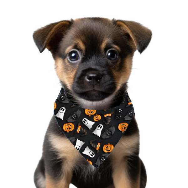 Bandana De Halloween Para Mascotas Negra