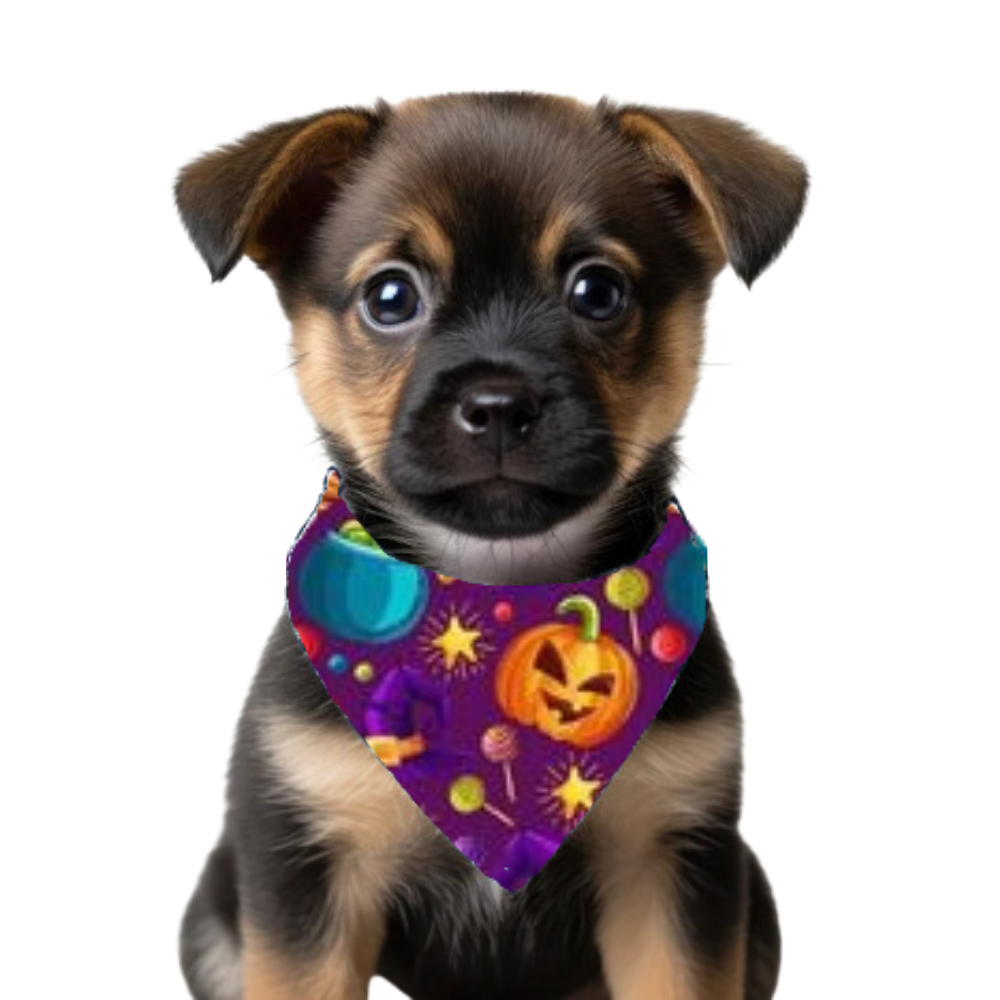 Bandana Morado De Halloween Para Mascotas