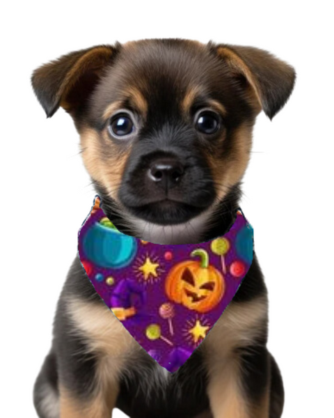 Bandana De Halloween Para Mascotas Morada