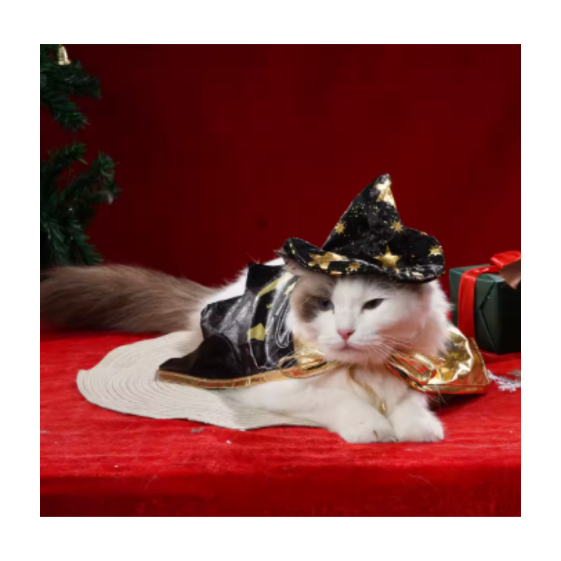 Disfraz De Bruja Para Perro Y Gato Para Halloween