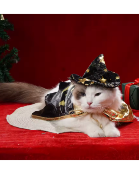 Disfraz De Bruja Para Perro Y Gato Para Halloween