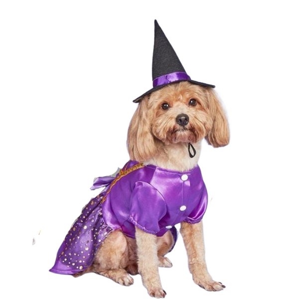 Disfraz De Bruja Para Mascotas Para Halloween