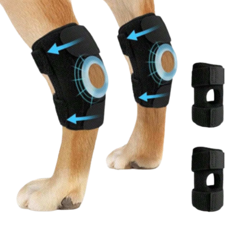 Rodillera Protectora Para Perros Soporte De Pata Delantera O Trasera Talla M