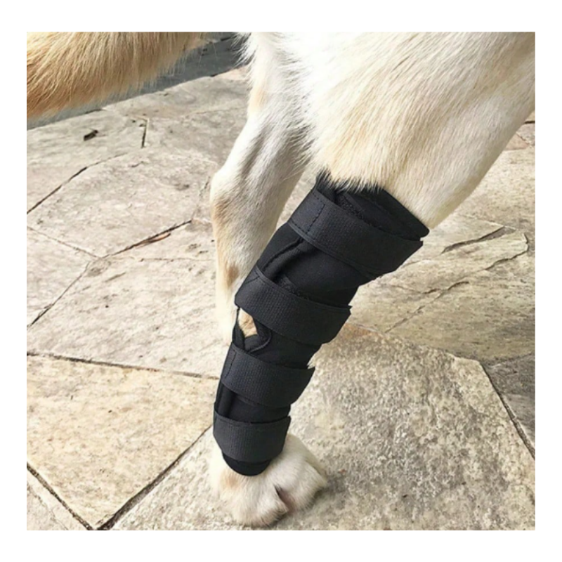 Rodillera Ortopédica Para Perros Y Gatos Protección De Corvejón Y Rodilla