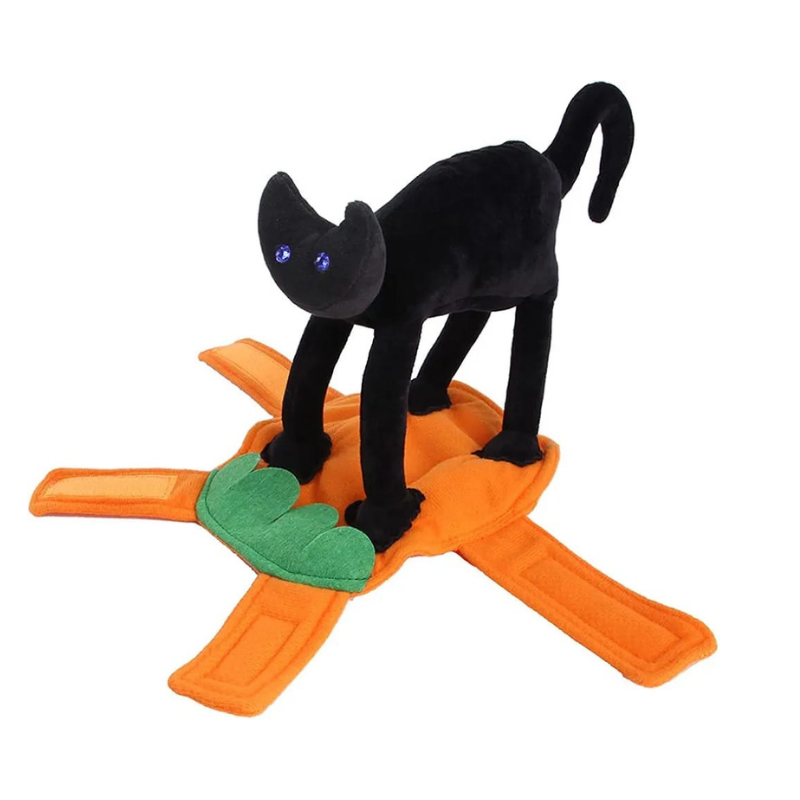Disfraz De Gato Negro Con Calabaza Para Mascotas