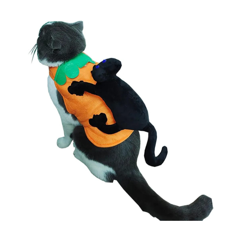 Disfraz De Gato Negro Con Calabaza Para Mascotas