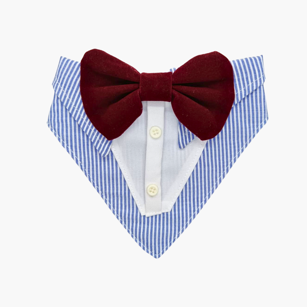 Bandana De Etiqueta - Gala Para Perros/ Gatos