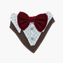 Bandana De Etiqueta - Gala Para Perros/ Gatos
