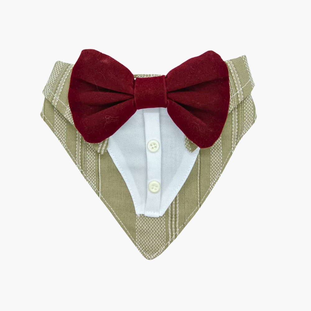 Bandana De Etiqueta - Gala Para Perros/ Gatos