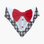 Bandana De Etiqueta - Gala Para Perros/ Gatos
