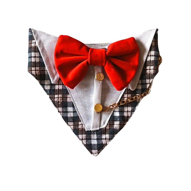 Bandana De Etiqueta - Gala Para Perros Y Gatos