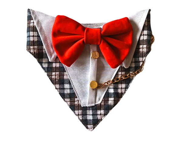 Bandana De Etiqueta - Gala Para Perros Y Gatos