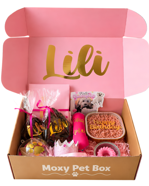 Caja De Cumpleaños Para Mascotas