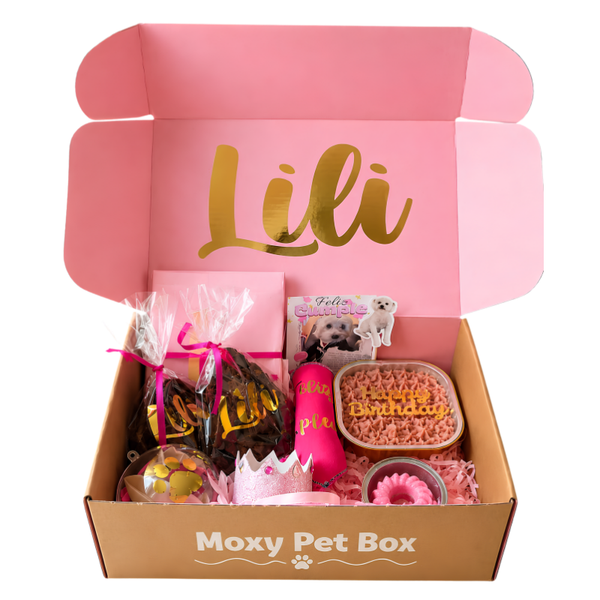 Caja De Cumpleaños Para Mascotas