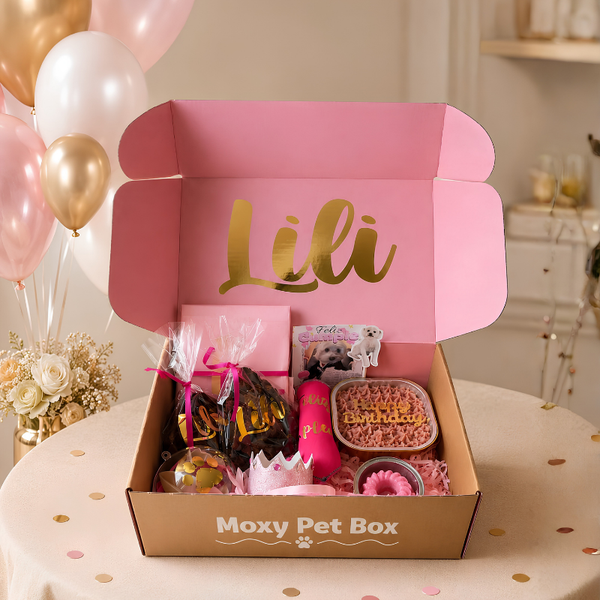 Caja De Cumpleaños Para Mascotas