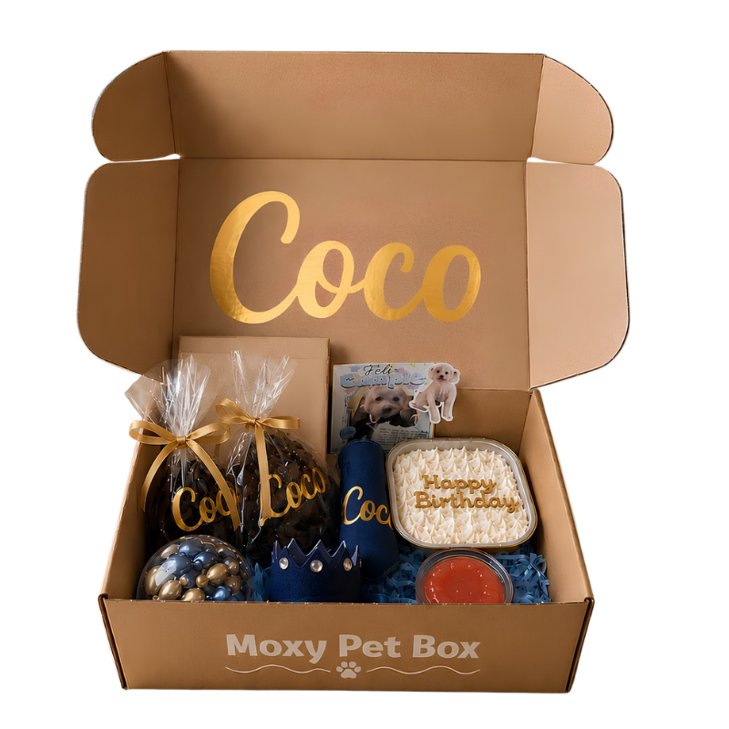 Caja De Cumpleaños Para Mascotas