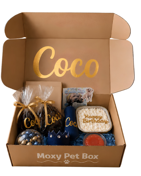 Caja De Cumpleaños Para Mascotas
