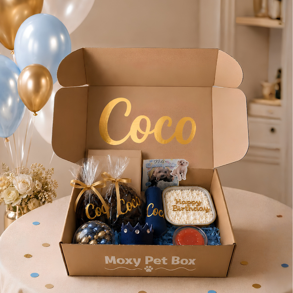 Caja De Cumpleaños Para Mascotas