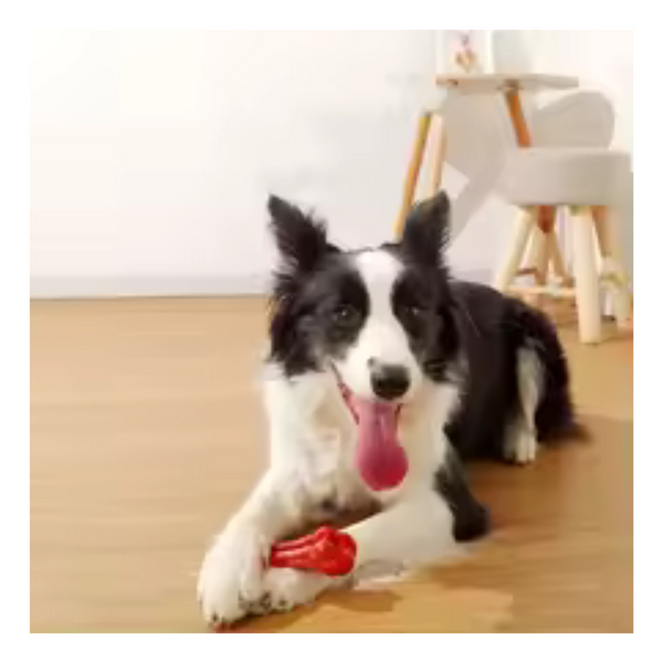 Juguete Forma De Hueso Para Perros