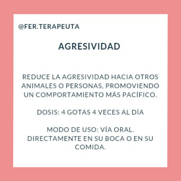 Flores de Bach para animais de estimação