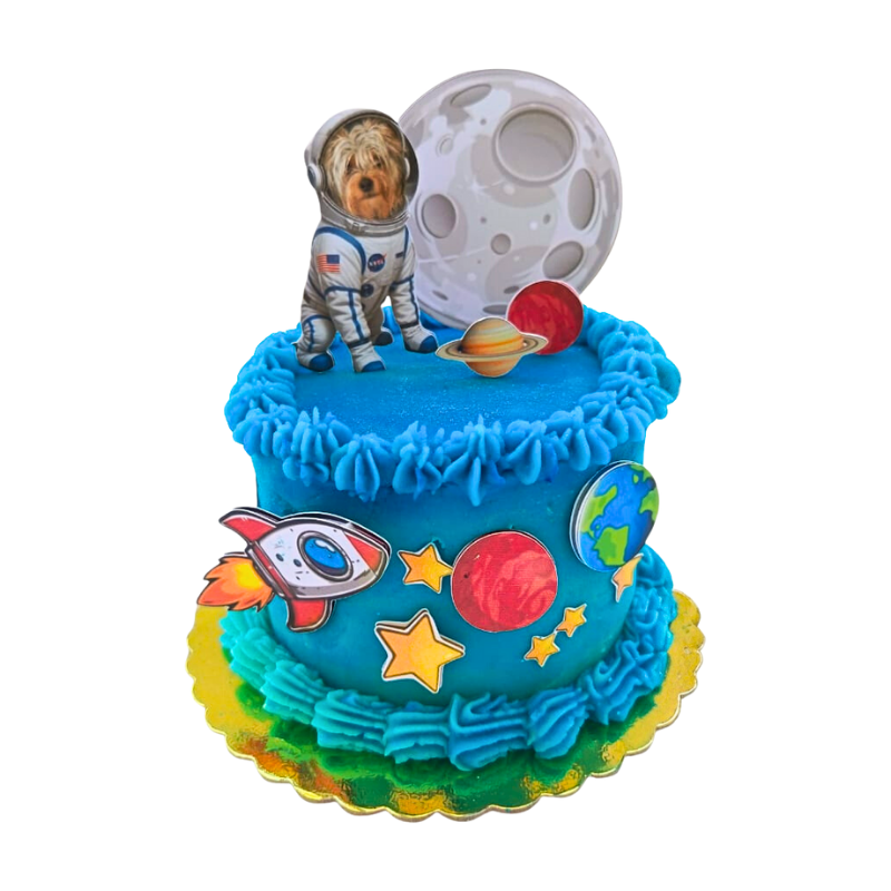 Tortas De Cumpleaños Para Mascotas