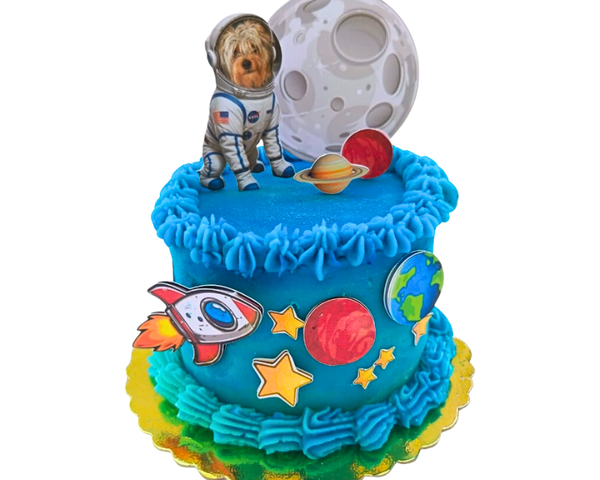 Tortas De Cumpleaños Para Mascotas