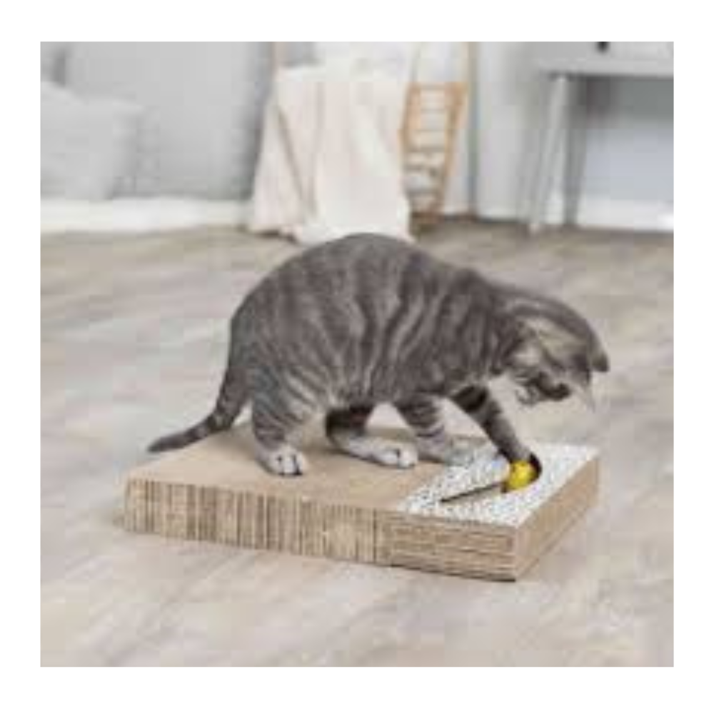Rascador Rectangular Con Pelotas Para Gatos