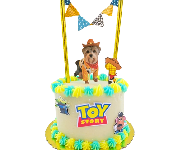 Tortas De Cumpleaños Para Mascotas