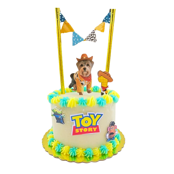 Tortas De Cumpleaños Para Mascotas
